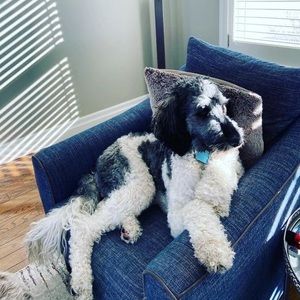 Meet your Posher, Emma